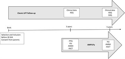 A Prospective Observational Study to Assess Attachment Representations With Regard to Neurocognitive and Behavioral Outcomes in Children Born Very Prematurely in the Loire Infant Follow-Up Team (LIFT Cohort)